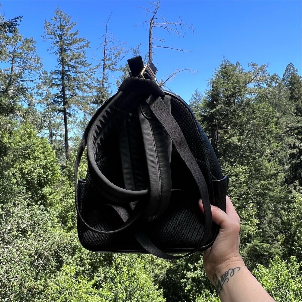 COACH Black Pebble Leather Mini Backpack Shoulder Bag w Gold Hardware AUTHENTIC - Picture 2 of 16